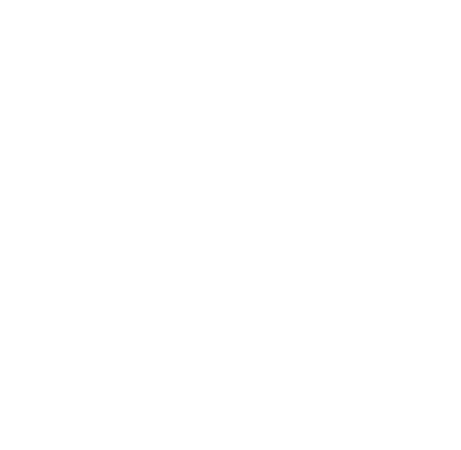 choices-white choices icon in white