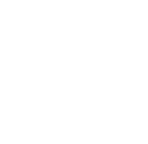 document-white document icon in white