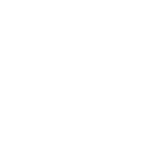 target-white Target Icon in white