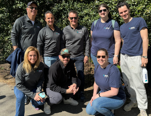 Fostering Green Spaces: Adwanted SRDS Volunteers Transform Morningside Park
